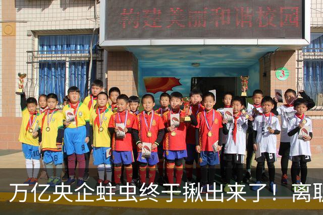 万亿央企蛀虫终于揪出来了！离职七年难逃法网，25年腐化史现真容