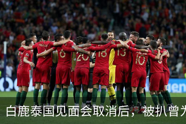 白鹿泰国见面会取消后，被扒曾为缅北拍宣传片，知情人爆更多内幕