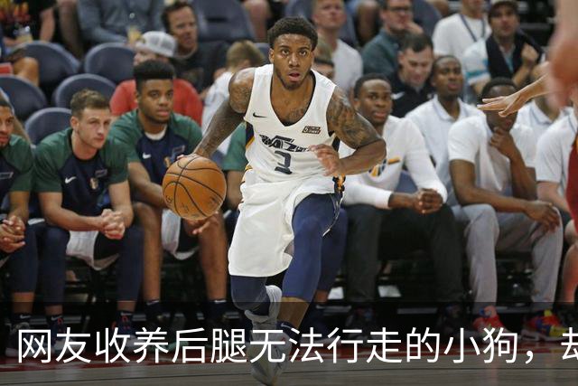 网友收养后腿无法行走的小狗,却在喂食时发现狗子居然能够正常行走…医生:你俩逗我呢?没病少折腾…