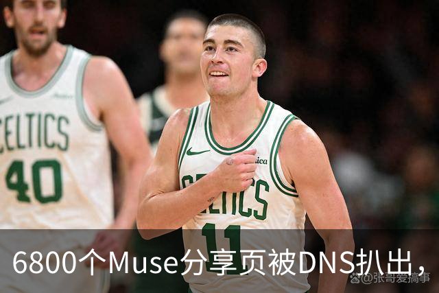 6800个Muse分享页被DNS扒出,Meta紧急暂停